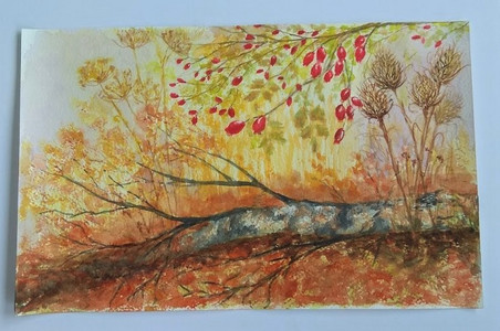 CD, fallen tree, watercolour.  10.20.jpg
